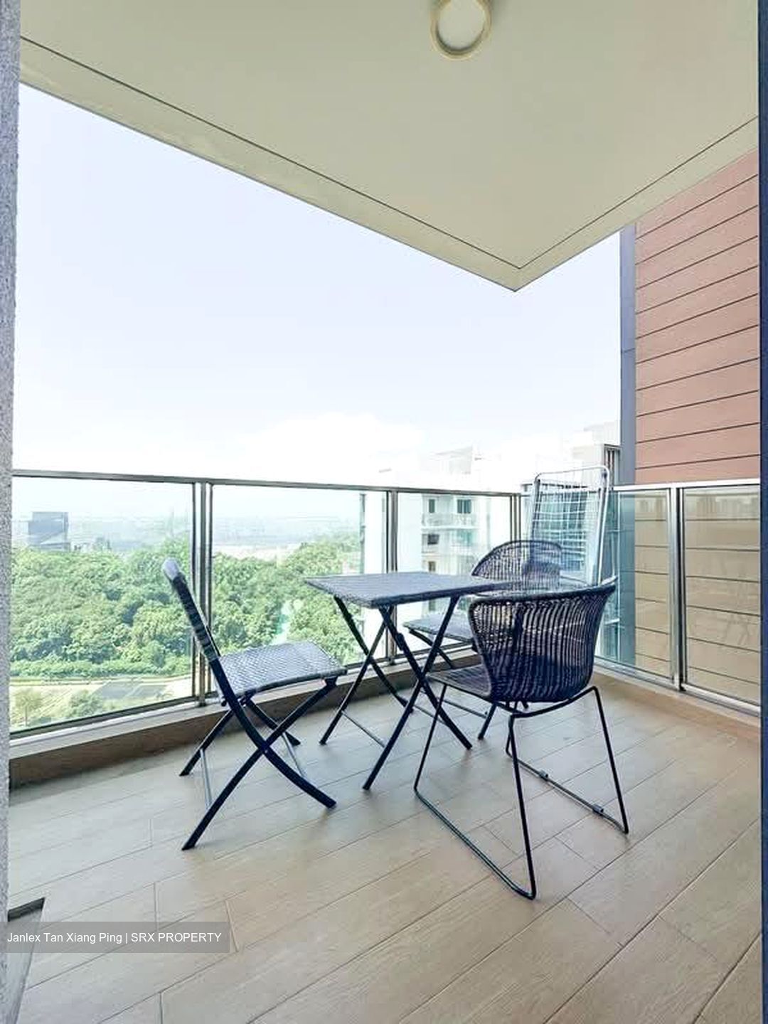Normanton Park (D5), Apartment #597311821